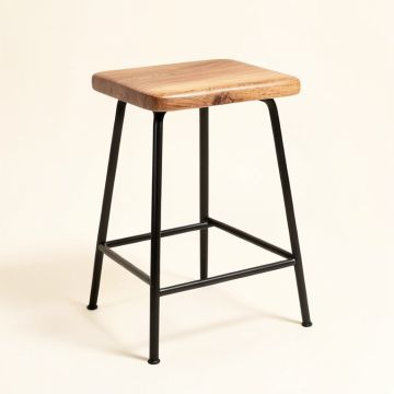 Capra Solid Wood Bar & Counter Stool (synthetic illustration; no displayed measurements)