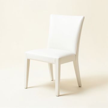 Queen Anne Back Side Chair In White (synthetic illustration; no displayed measurements)