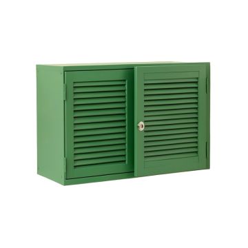 Hazel Crest Wall-Mounted Entry Cabinet - Green (synthetic illustration; no displayed measurements)