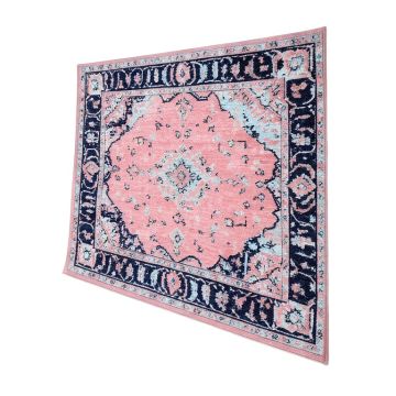 Ashburn Oriental Pink/Navy Blue/Light Blue Area Rug