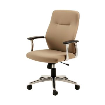 Lithonia Task Chair