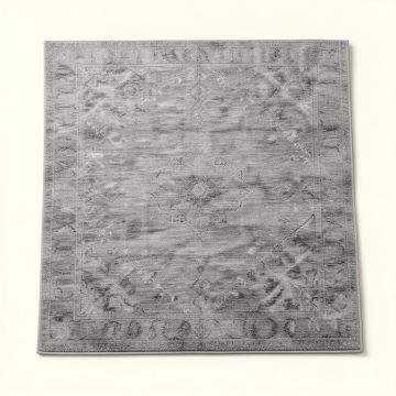 Calvo Oriental Gray Area Rug (synthetic illustration; no displayed measurements)