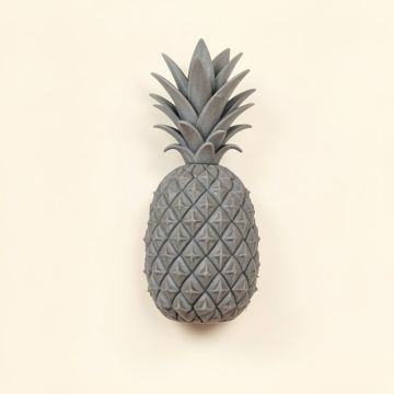 Fuiloro Pineapple Garden Plaque Wall Décor (synthetic illustration; no displayed measurements)