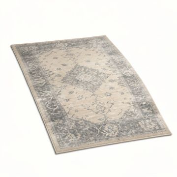 Katie Oriental Beige / Gray Area Rug (synthetic illustration; no displayed measurements)