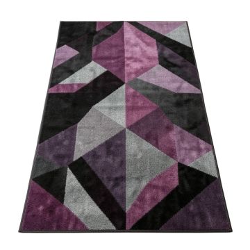 Zabala Geometric Plum/Black/Gray Area Rug