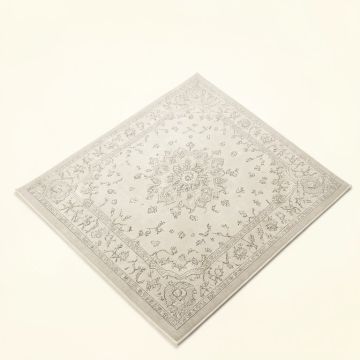Katie Oriental Silver/Ivory Area Rug (synthetic illustration; no displayed measurements)
