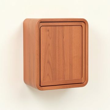 Maple Dale Wall-Mounted Entry Cabinet - Terracotta (synthetic illustration; no displayed measurements)