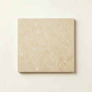 Moss Branch Uninstalled Square Decorative Tile - Beige (synthetic illustration; no displayed measurements)