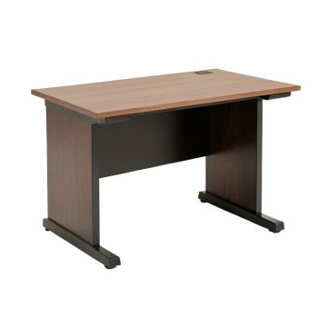 Shelby Computer Desk (synthetic illustration; no displayed measurements)
