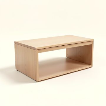 Ochlocknee Flip Top Storage Bench (synthetic illustration; no displayed measurements)