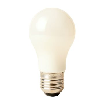 12.8-Volt Incandescent Light Bulb