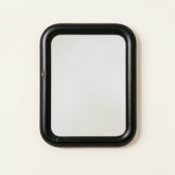 Pine Branch Framed Wall Mirror - Black (synthetic illustration; no displayed measurements)
