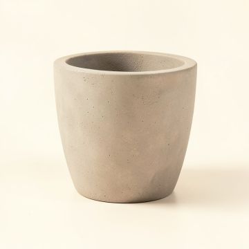 Finnly Resin Pot Planter (synthetic illustration; no displayed measurements)