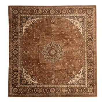 Bohemian Brown Area Rug