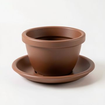 Root™ 2 Piece Riser Set (synthetic illustration; no displayed measurements)