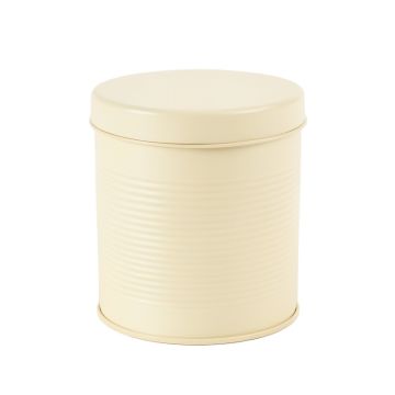Moss Canyon Storage Canister With Lid - Cream (synthetic illustration; no displayed measurements)
