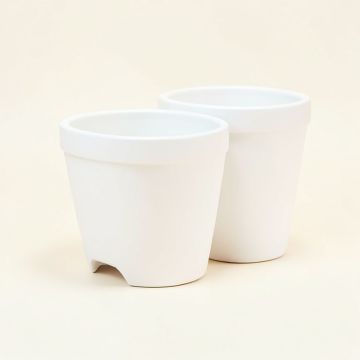 Cammack 2-Piece Mgo Pot Planter Set (synthetic illustration; no displayed measurements)