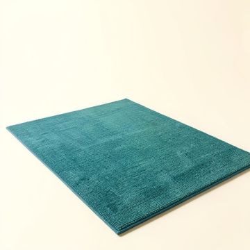Truman Medallion Textured Weave Teal Indoor/Outdoor Area Rug (synthetic illustration; no displayed measurements)