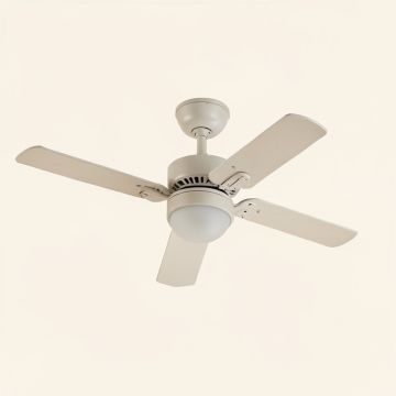 Non Reversing Fan And Light Ceiling Fan Remote (synthetic illustration; no displayed measurements)