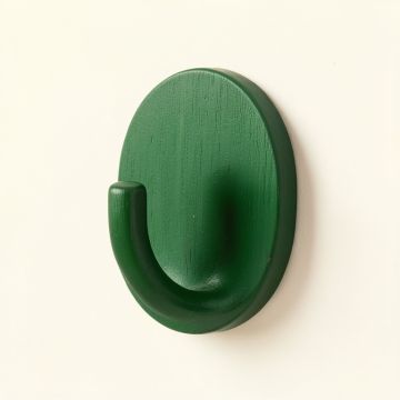 Elm Canyon Wall-Mounted Robe Hook - Green (synthetic illustration; no displayed measurements)