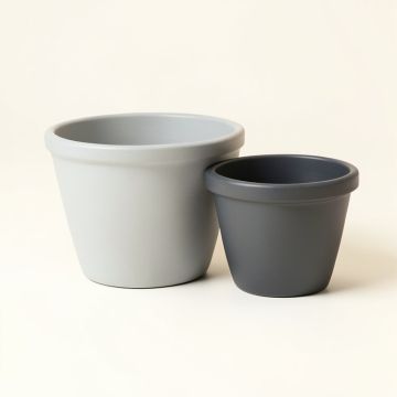 Emilia Arzola 2-Piece Iron Pot Planter Set (synthetic illustration; no displayed measurements)