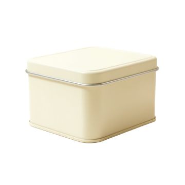 Rocheleau Tin Bread Box
