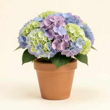 Hydrangea Floral Arrangement In French Bee Pot (synthetic illustration; no displayed measurements)