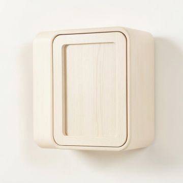 Rowan Crest Wall-Mounted Entry Cabinet - Ivory (synthetic illustration; no displayed measurements)