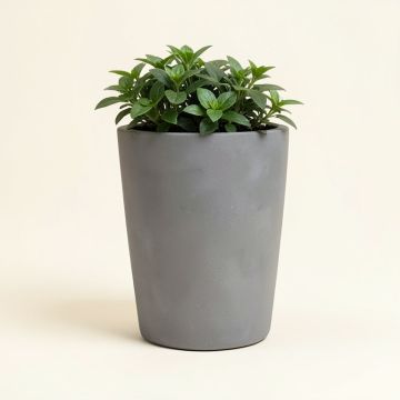Gellért Resin Pot Planter (synthetic illustration; no displayed measurements)