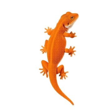 Little Neck Gecko Wall Décor