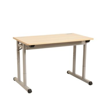 Allyson Johnson Spring Desk