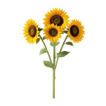 Art Sunflower Stems