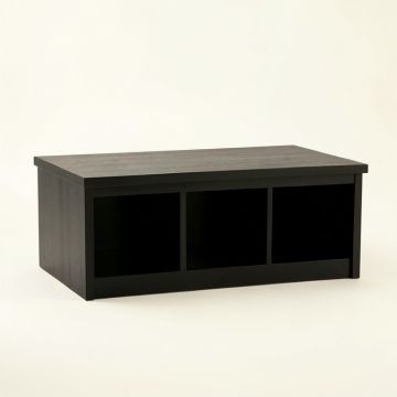 Olive Branch Shoe Storage Bench - Black (synthetic illustration; no displayed measurements)