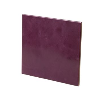 Poetic License 12 '' X 24 '' Porcelain Singular Tile Wall & Floor Tile