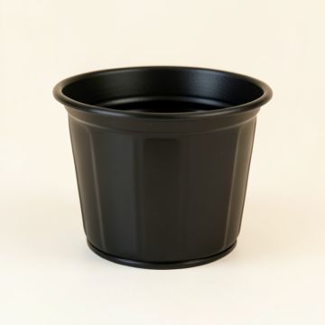 Cove Arc Empty Planter (synthetic illustration; no displayed measurements)