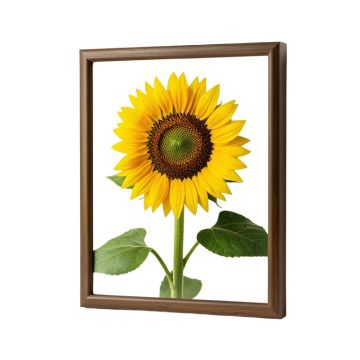 Sunflower In Bronze Ii By 0 Welby - Print