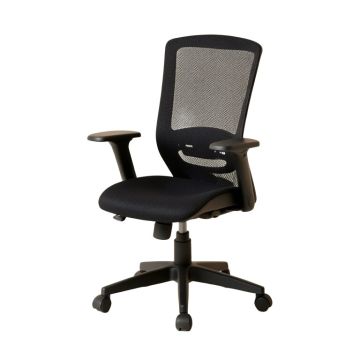 Akiva Ergonomic Mesh Task Chair