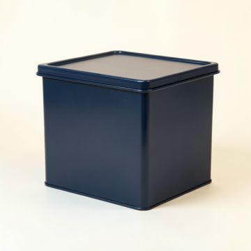 Heath Canyon Closed Outdoor Storage Box - Navy (synthetic illustration; no displayed measurements)