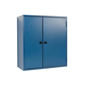 Birch Bend Wall-Mounted Entry Cabinet - Blue