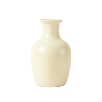 Clay Branch Empty Decorative Vase - Ivory