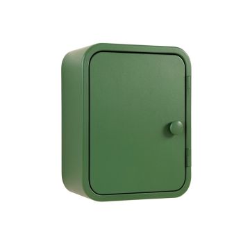 Vale Brook Wall-Mounted Laundry Cabinet - Green