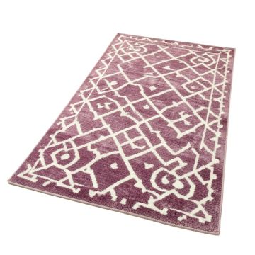 Fishback Geometric Plum/White Area Rug