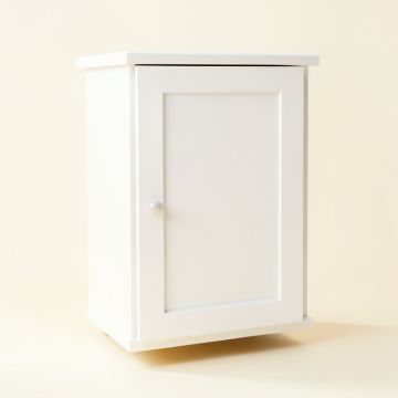 Arapahoe 22.5 '' W X 25 '' H X 8 '' D Wall Mounted Bathroom Cabinet (synthetic illustration; no displayed measurements)