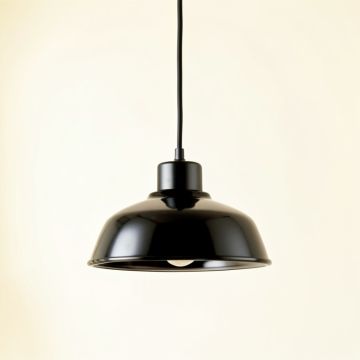 Pine Brook Pendant Light Suspended From One Plain Cable - Black (synthetic illustration; no displayed measurements)