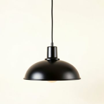 Alder Arc Pendant Light Suspended From One Plain Cable (synthetic illustration; no displayed measurements)
