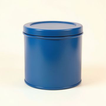 Fern Branch Storage Canister With Lid - Blue (synthetic illustration; no displayed measurements)