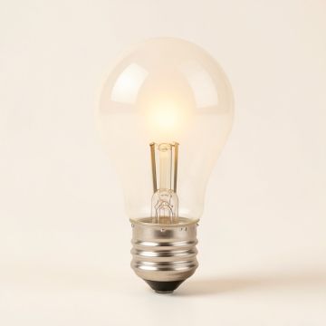 5.5 Watt ( 60 Watt Equivalent ) (synthetic illustration; no displayed measurements)
