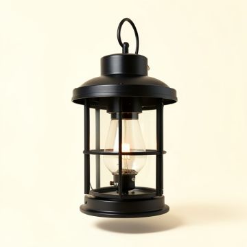 Ainsworth Earth Black 1 -Bulb 20.75 '' H Outdoor Hanging Lantern (synthetic illustration; no displayed measurements)