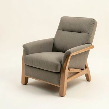 Ziebarth 33.5 '' Wide Power Lift Assist Standard Recliner (synthetic illustration; no displayed measurements)