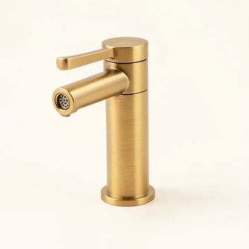 Pamplona Single Hole Bathroom Faucet With Drain Assembly (synthetic illustration; no displayed measurements)